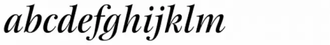 New Esprit Pro Display Medium Italic
