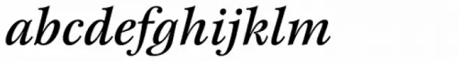 New Esprit Pro Medium Italic
