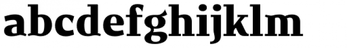 New June Serif Heavy