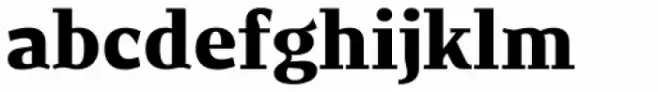 New June Serif Heavy