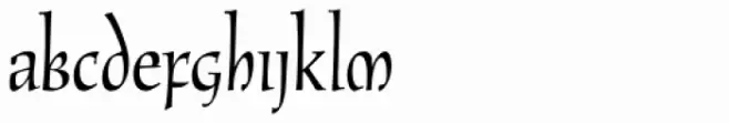 New Oxford LXSN Regular