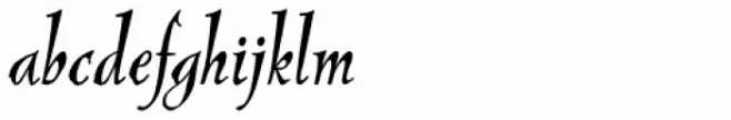 New Pelican LXSN Italic