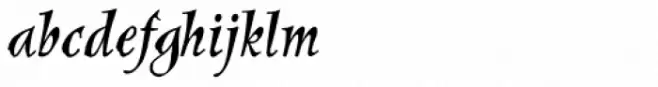New Pelican SXSN Italic