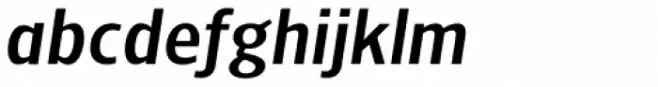 NewLibris Bold Italic