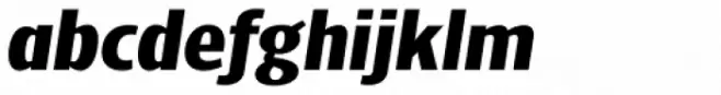 NewLibris UltraBold Italic