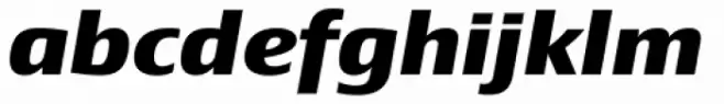 Newbery Sans Pro Xp Bold Italic