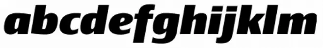 Newbery Sans Pro Xp Extra Bold Italic