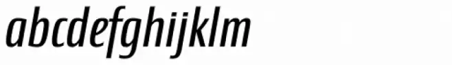 Newbery Sans Variable Italic Cd