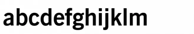 News Gothic BT Bold