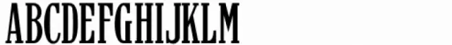 Newspaper Publisher JNL Regular