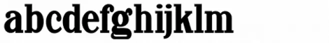 Newsprint Narrow JNL