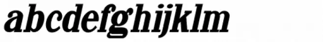 Newsprint Narrow Oblique JNL