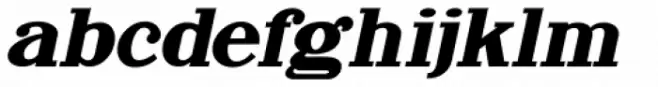 Newsprint Oblique JNL