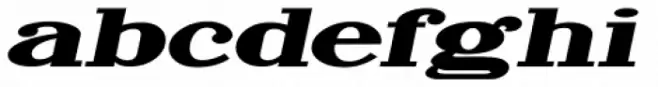 Newsprint Wide Oblique JNL