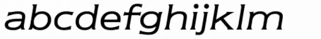 Newtext Book Italic