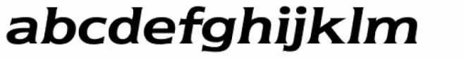 Newtext Demi Italic