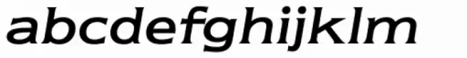 Newtext Italic