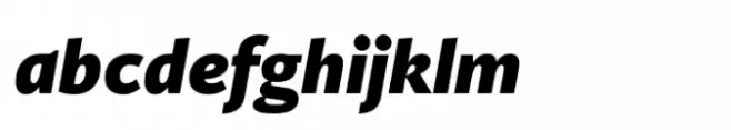 Ni Sans Black Italic