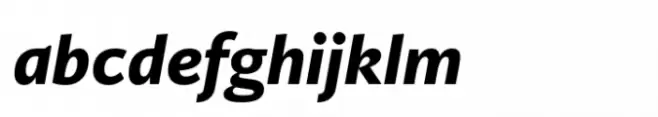 Ni Sans Bold Swashes