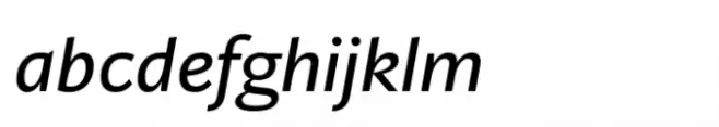 Ni Sans Book Swashes