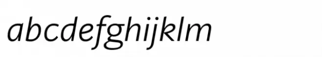Ni Sans Light Italic