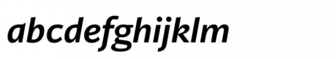Ni Sans Medium Italic