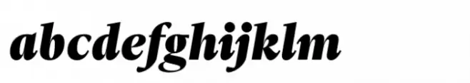 Ni Serif Black Italic