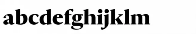 Ni Serif Black