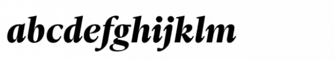 Ni Serif Bold Italic