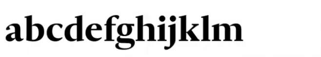Ni Serif Bold