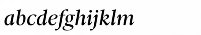 Ni Serif Book Italic