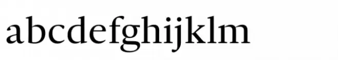Ni Serif Book