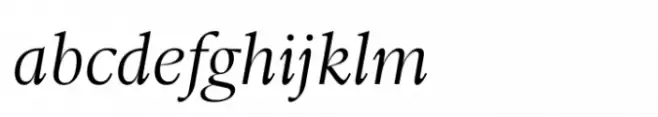 Ni Serif Light Swashes