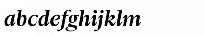 Ni Serif Medium Swashes