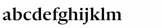 Ni Serif Medium