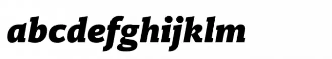 Ni Slab Black Italic