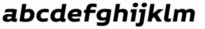 Niemeyer Bold Italic