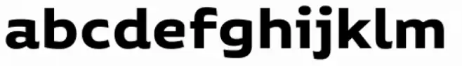 Niemeyer Bold