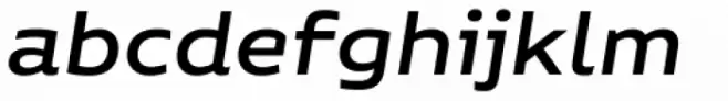Niemeyer Medium Italic