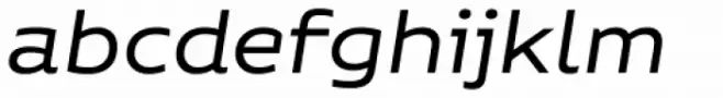 Niemeyer Regular Italic