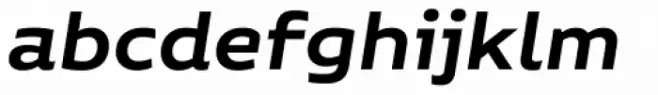 Niemeyer Semi Bold Italic