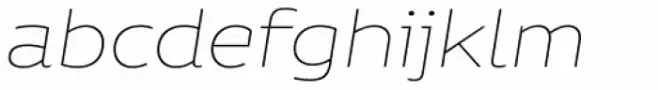 Niemeyer Thin Italic