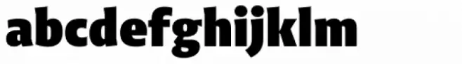 Niko Condensed Black
