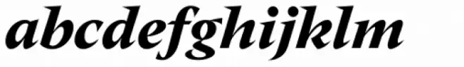 Nikola Black Italic