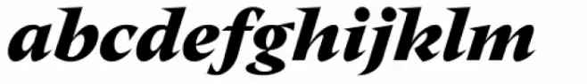 Nikola Heavy Italic