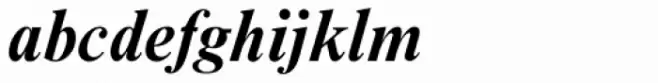Nimbus Roman D Bold Italic
