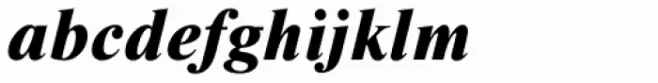 Nimbus Roman D ExtraBold Italic