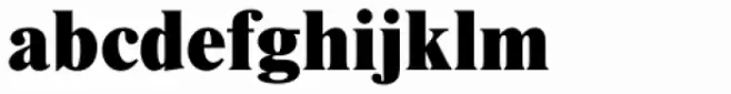 Nimbus Roman D ExtraBold