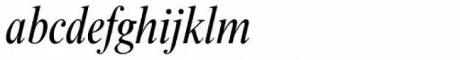 Nimbus Roman No 9 Cond Italic