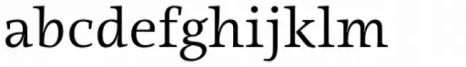 Ninfa Serif Book